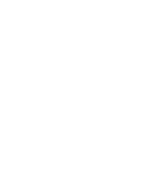 Květ_ilu_test